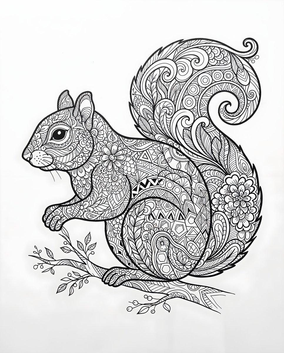 Zentangle Squirrel Line Drawing
